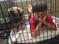 Alex_CagedAnimals_7-2016 (3)